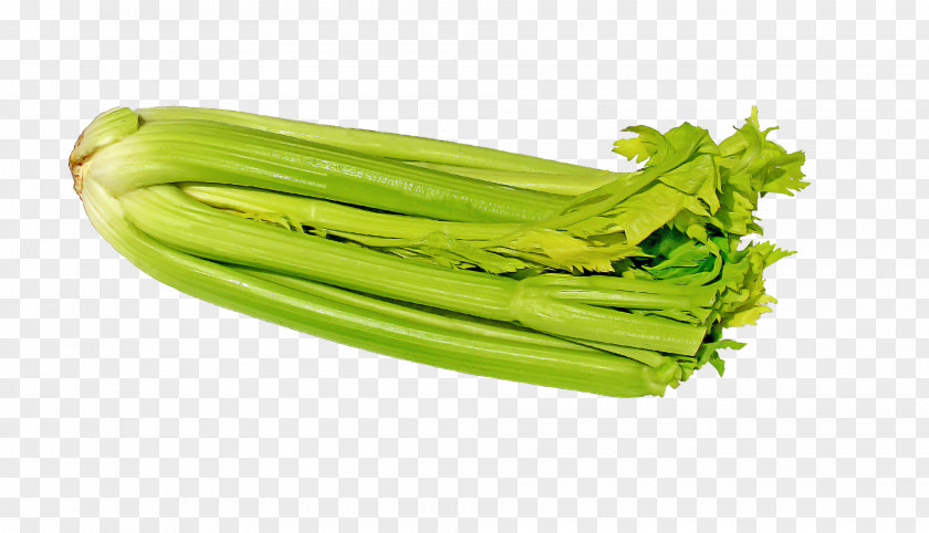 Celery Organic Food Vegetable Celeriac Parsnip PNG