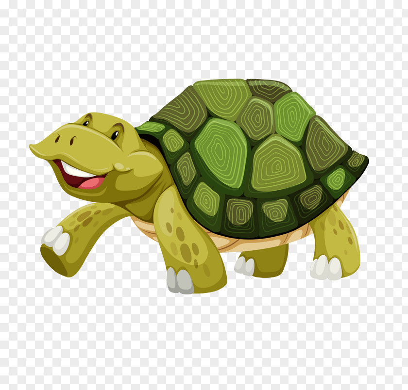 Cute Tortoise Turtle Vector Graphics Royalty-free Stock Photography Illustration PNG
