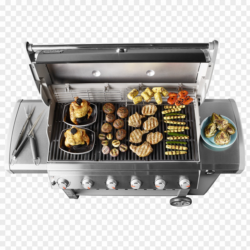 Barbecue Grill Weber-Stephen Products Natural Gas Propane Gasgrill PNG