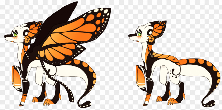 Cat Butterfly Drawing Art PNG