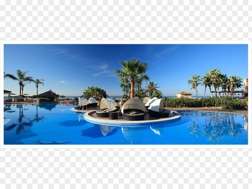 Desert Palms Marriott's Marbella Beach Resort Marriott International Seaside PNG