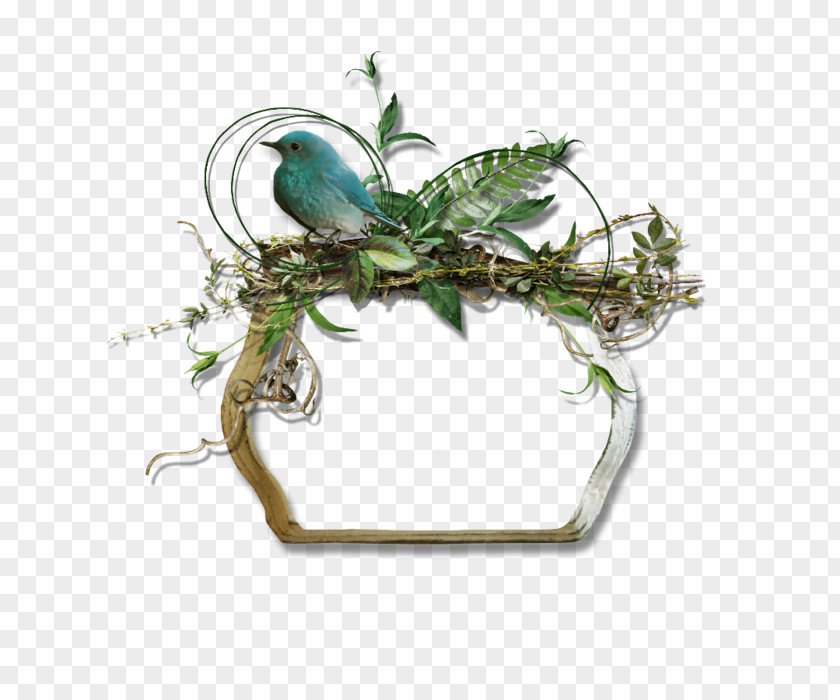 Frame Bird Adobe Photoshop RGB Color Model Diary Wood PNG