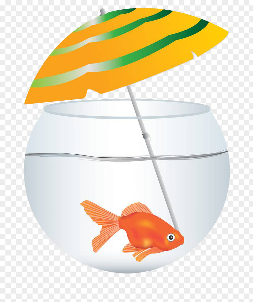 Hand Painted Vector Fish Tank Glass Aquarium PNG
