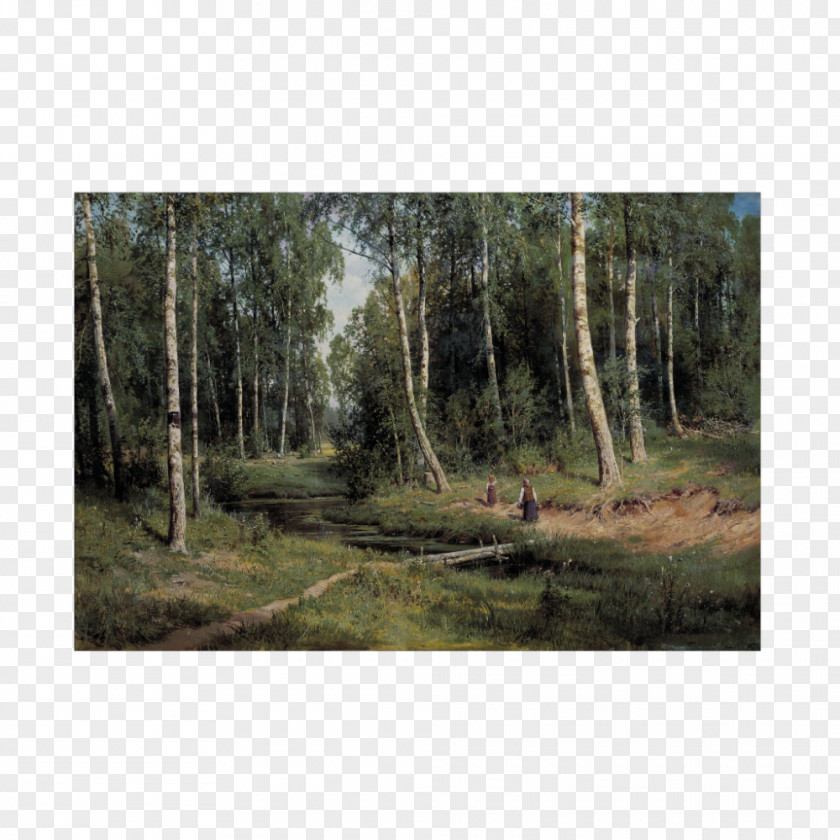 Russia Birch Forest In The Tree Countess Mordvinova's Wood. Peterhof Landscape Painting Realism PNG