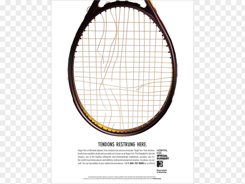 Tennis Rakieta Tenisowa Racket Brand PNG