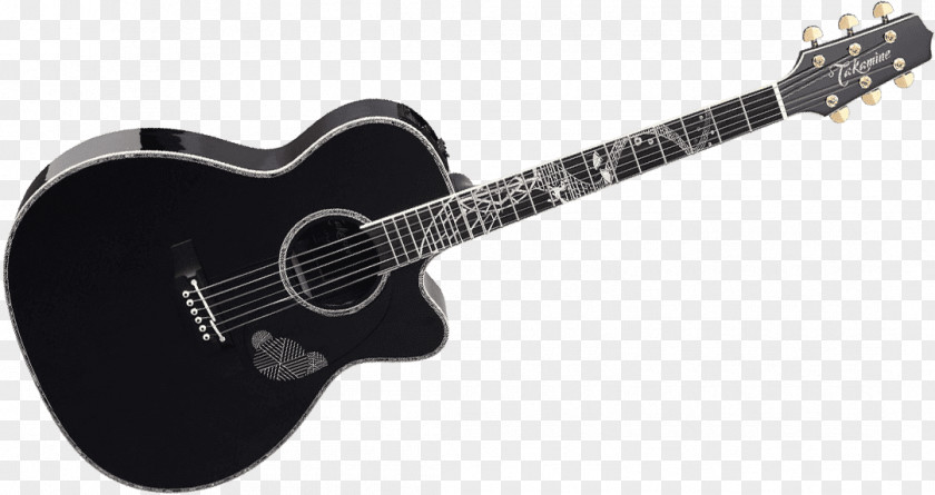 Acoustic Guitar Gibson Les Paul Twelve-string Takamine Guitars PNG