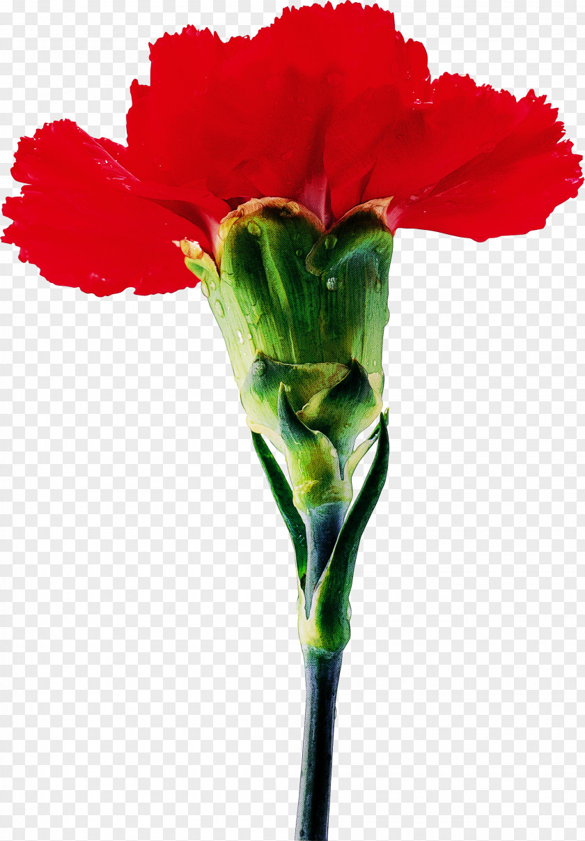 Artificial Flower PNG