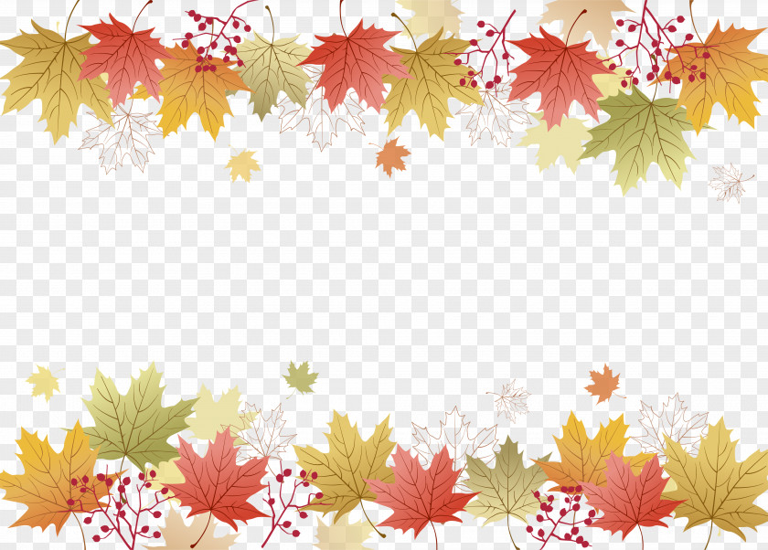 Autumn Maple Clip Art PNG