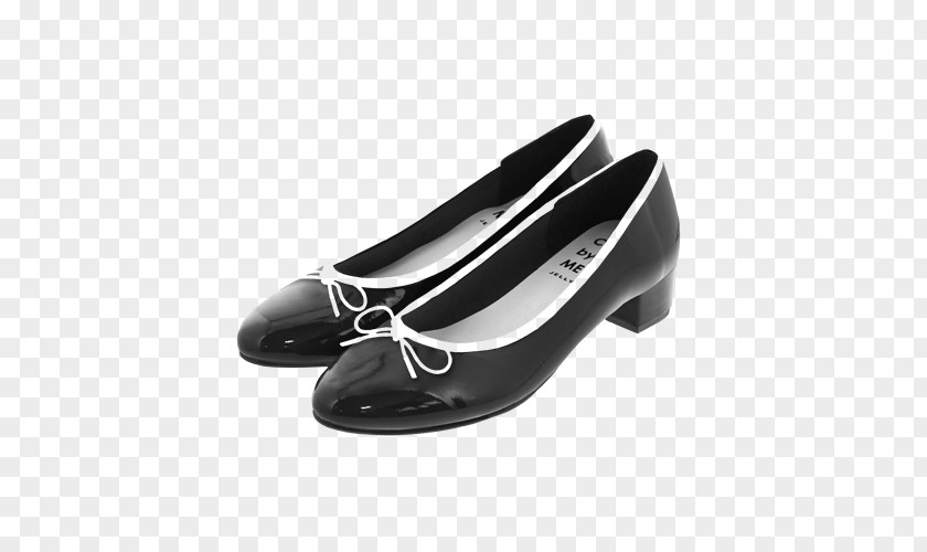 Ballet Flat Shoe PNG