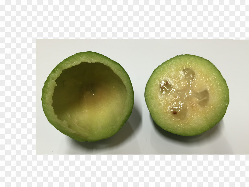 Feijoa Kiwifruit Superfood PNG
