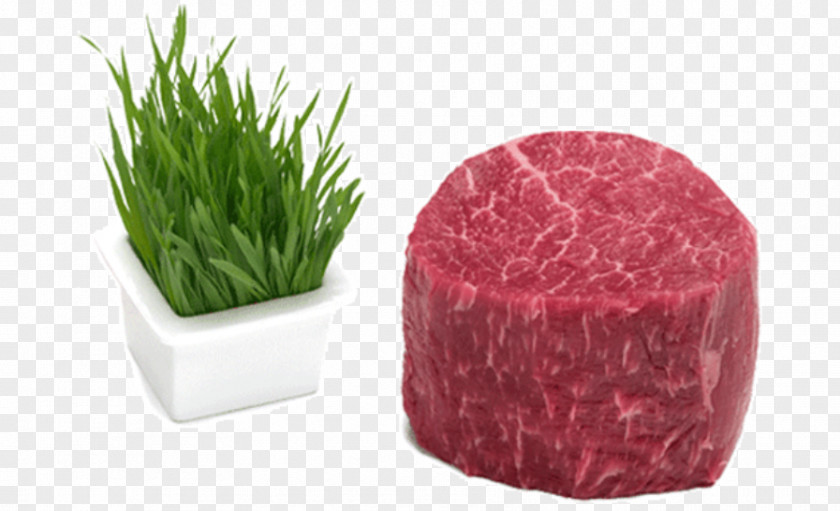Fillet Steak Angus Cattle Meat Beef Tenderloin PNG