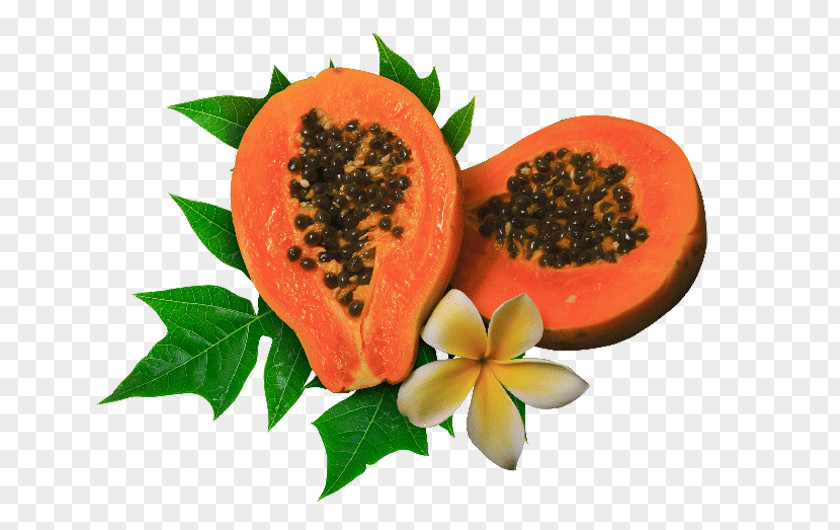 Papaya Papain Food Health Juice PNG