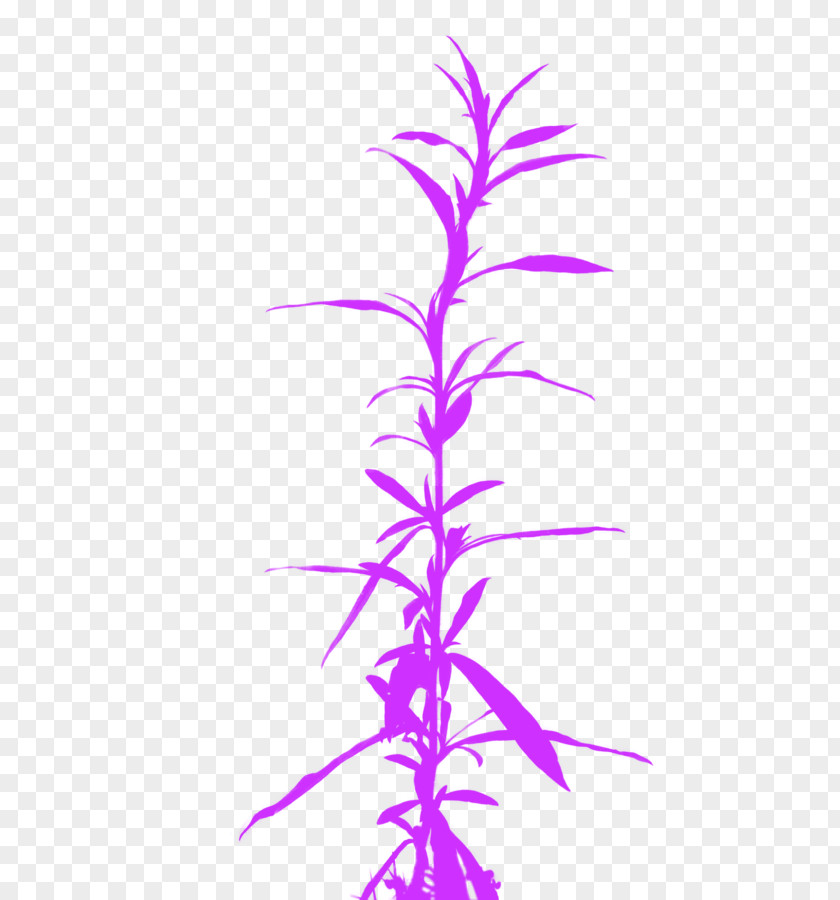 Purple Flowers And Grass Twig Cannabis Clip Art PNG