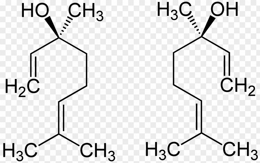 R-linalool Synthase English Lavender Bay Laurel Basil PNG