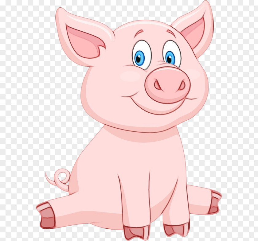 Suidae Livestock Cartoon Snout Animation PNG