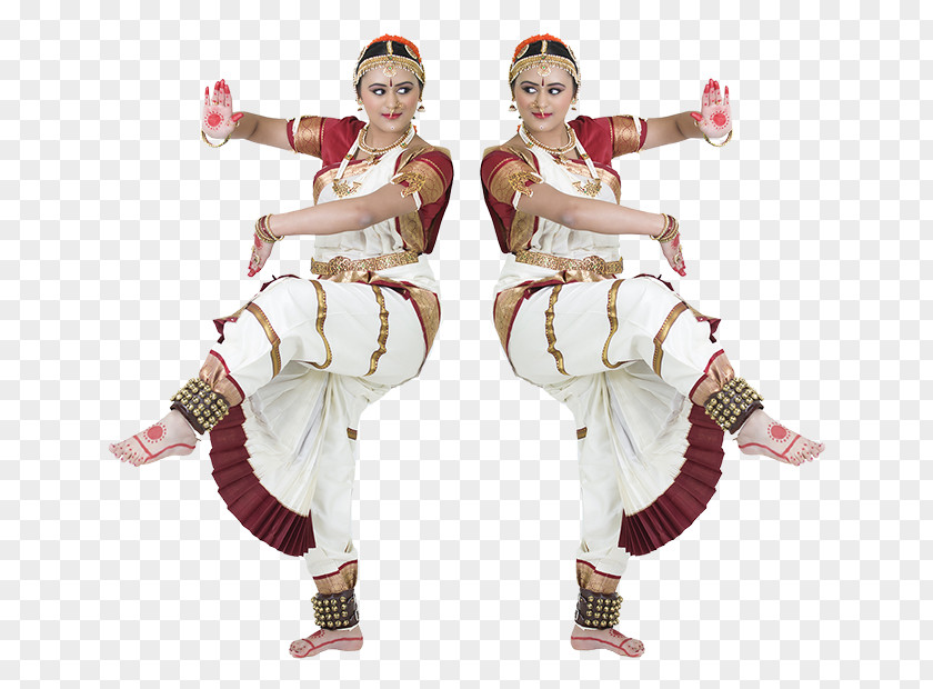 Bharatnatyam Dance Costume PNG