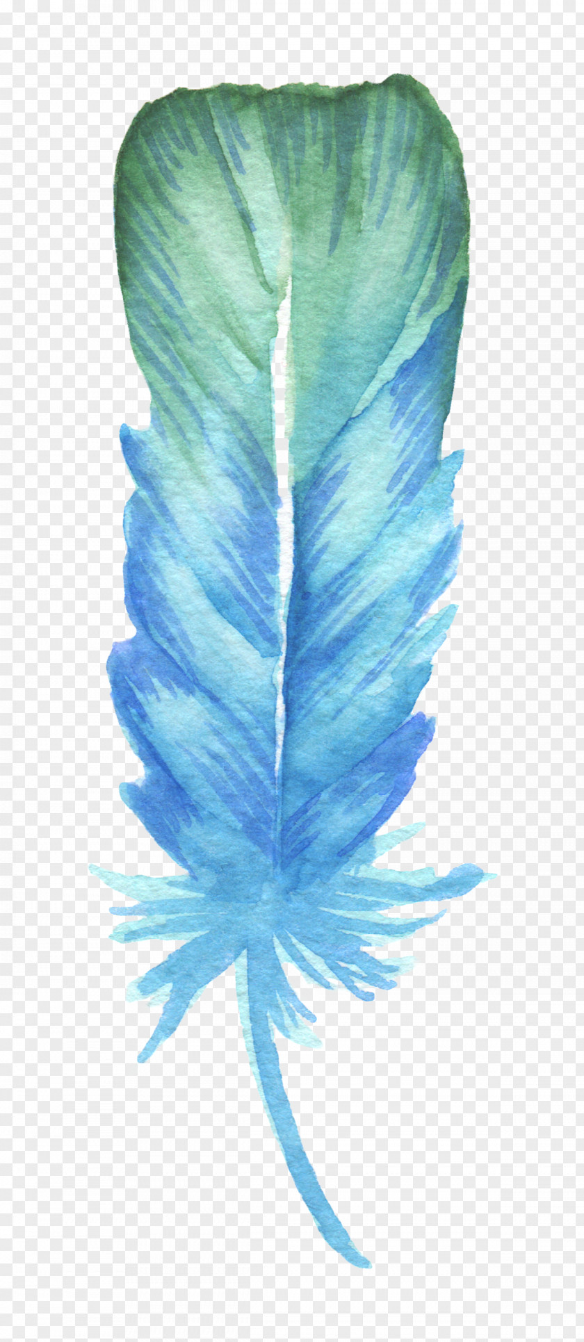 Blue Feather Drawing PNG