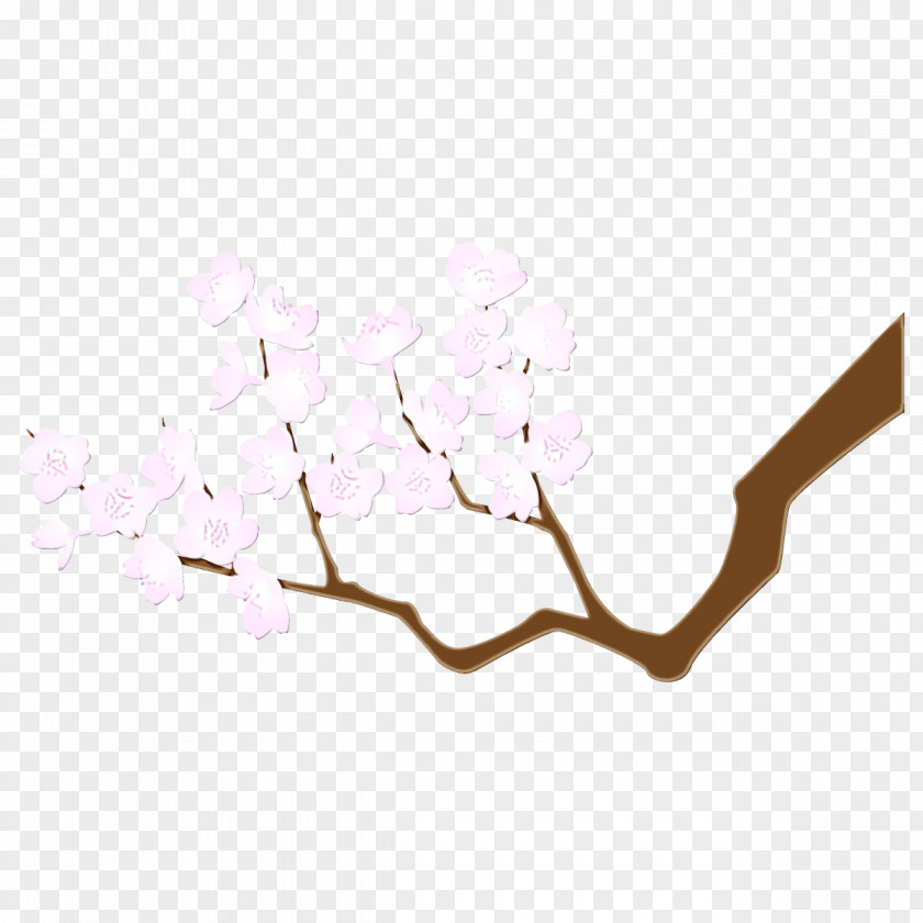 Cherry Blossom Plant PNG