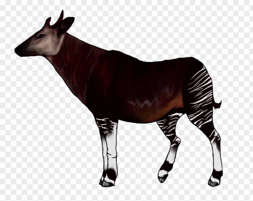 Giraffe Okapi Animal Clip Art PNG