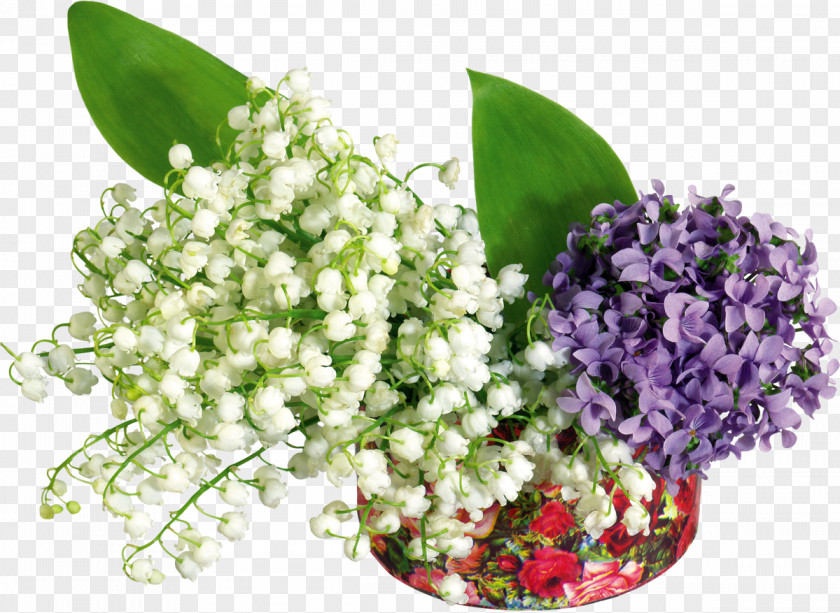 Lily Of The Valley Flower Desktop Wallpaper PNG