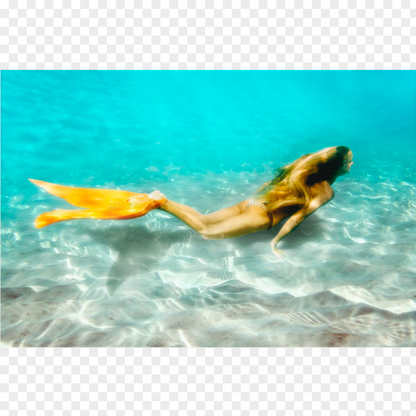 Mermaid Mermaiding Diving & Swimming Fins Marine Biology PNG