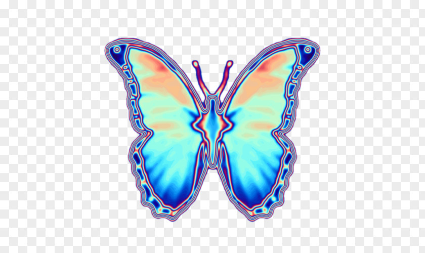 Butterfly Insect Iridescence Moth PNG