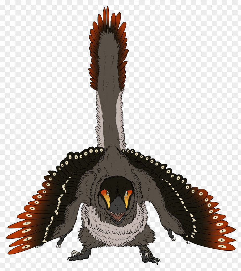 Dinosaur Velociraptor Buitreraptor Owl Beak PNG
