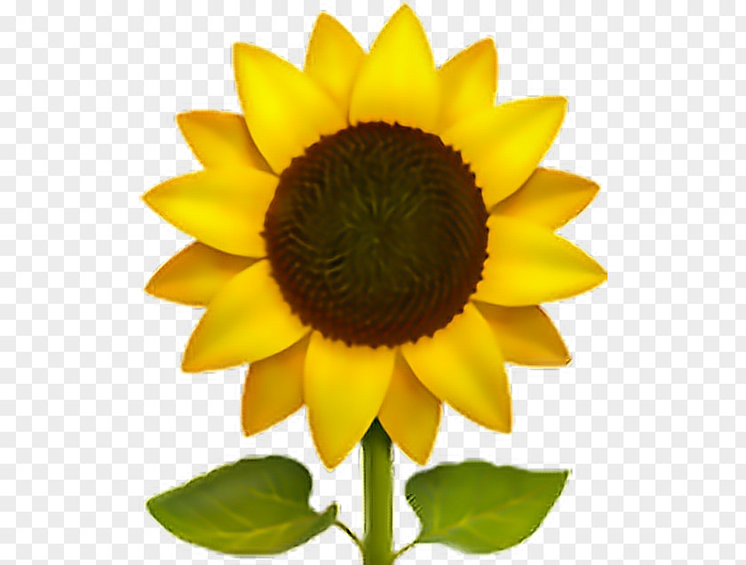 Emoji Common Sunflower Sticker IPhone PNG