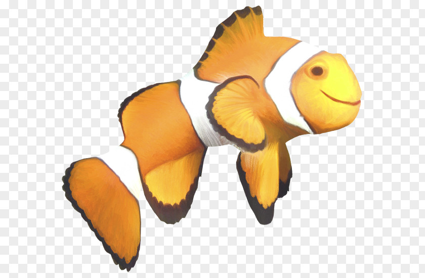 Fish Clownfish Angelfish Clip Art PNG