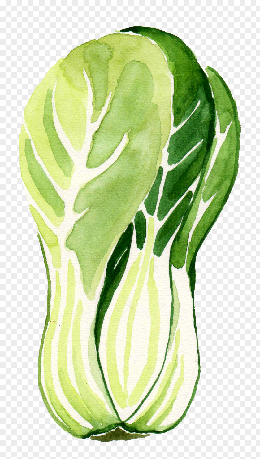Food Cruciferous Vegetables Green Leaf Background PNG
