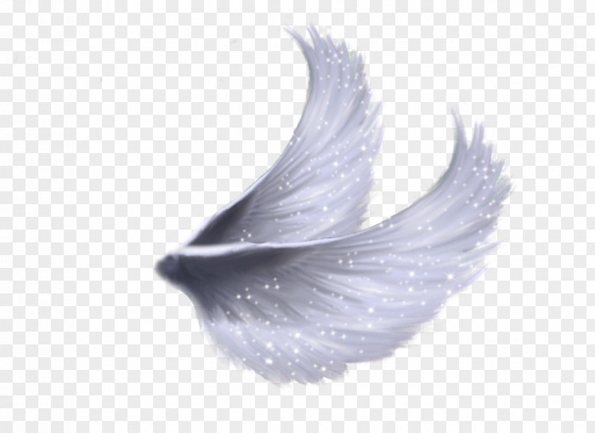 Frida Kalo Angel Wing Feather PNG