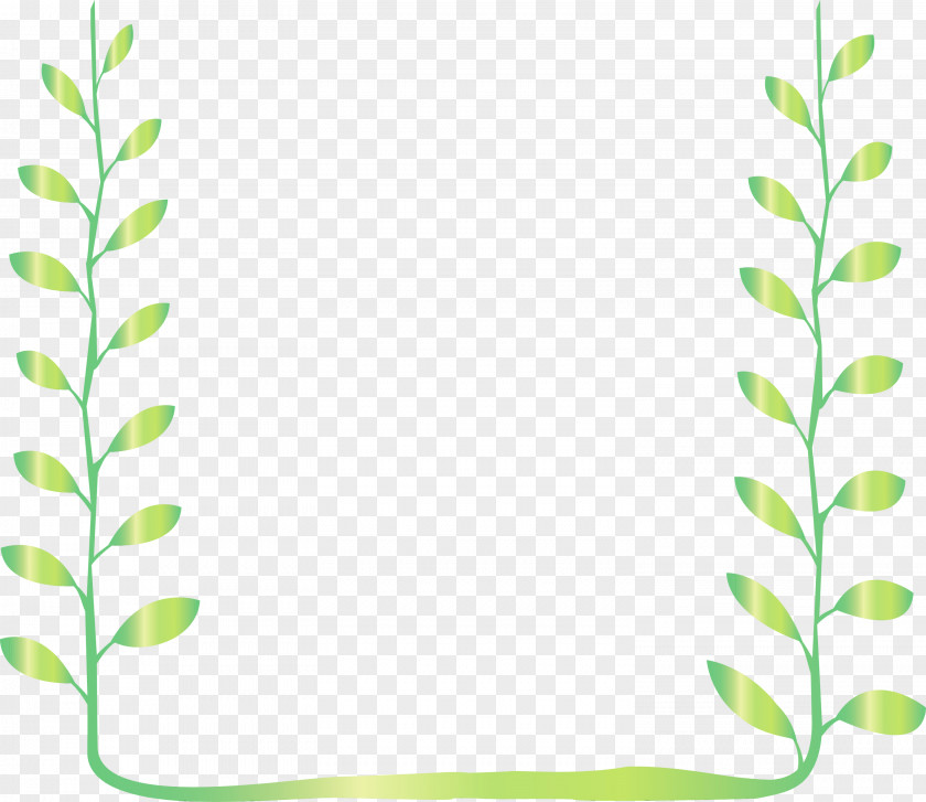 Green Leaf Vascular Plant Rectangle PNG