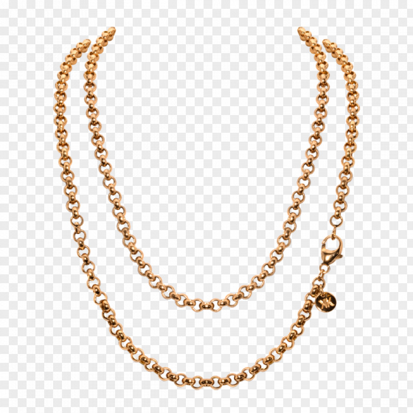 Chain Earring Jewellery Necklace PNG
