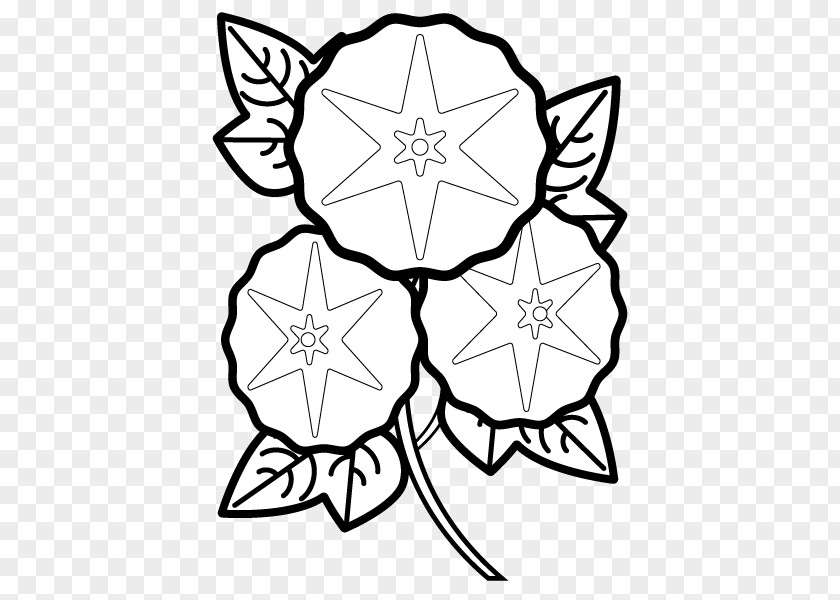 White Morning Glory Floral Design Japanese Coloring Book Illustration Black And PNG