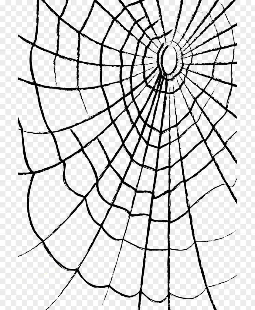 Cobweb Pictures Spider Web Clip Art PNG