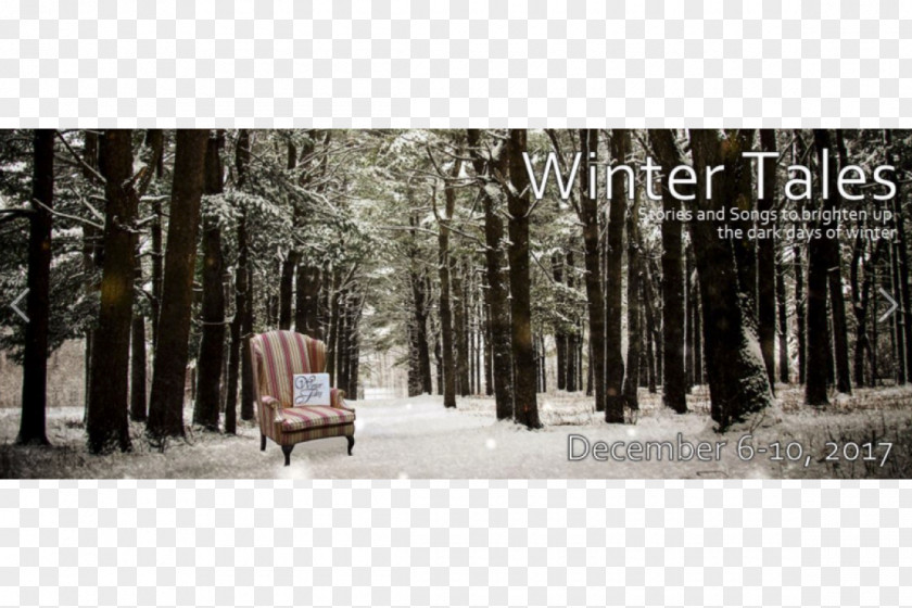 Forest Stock Photography Tree Winter PNG