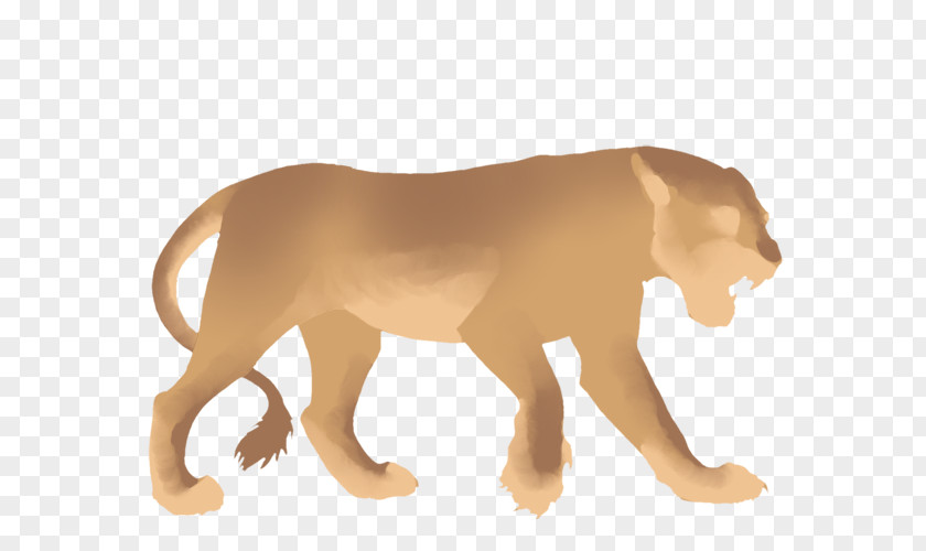 Lion Dance Felidae Cat Cougar Mammal PNG