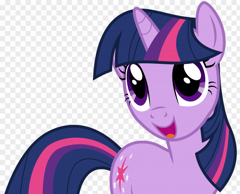 Sparkle Vector Pony Twilight Rainbow Dash Clip Art PNG