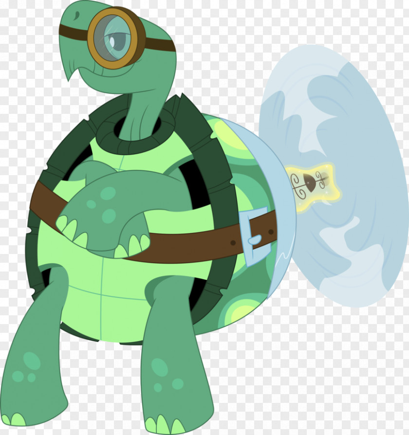 Tortoide Turtle Reptile Vertebrate Tortoise PNG