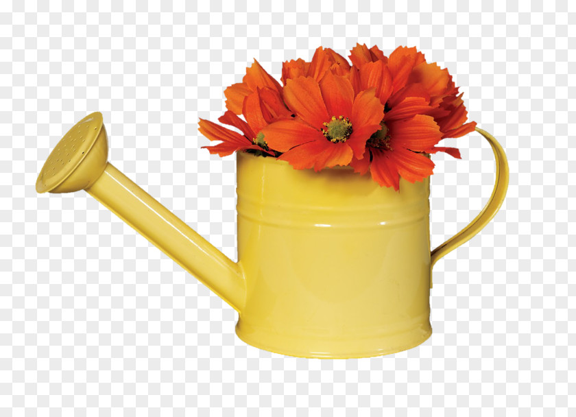 Watering Cans Gardening 97 Things To Do Before You Finish High School Clip Art PNG