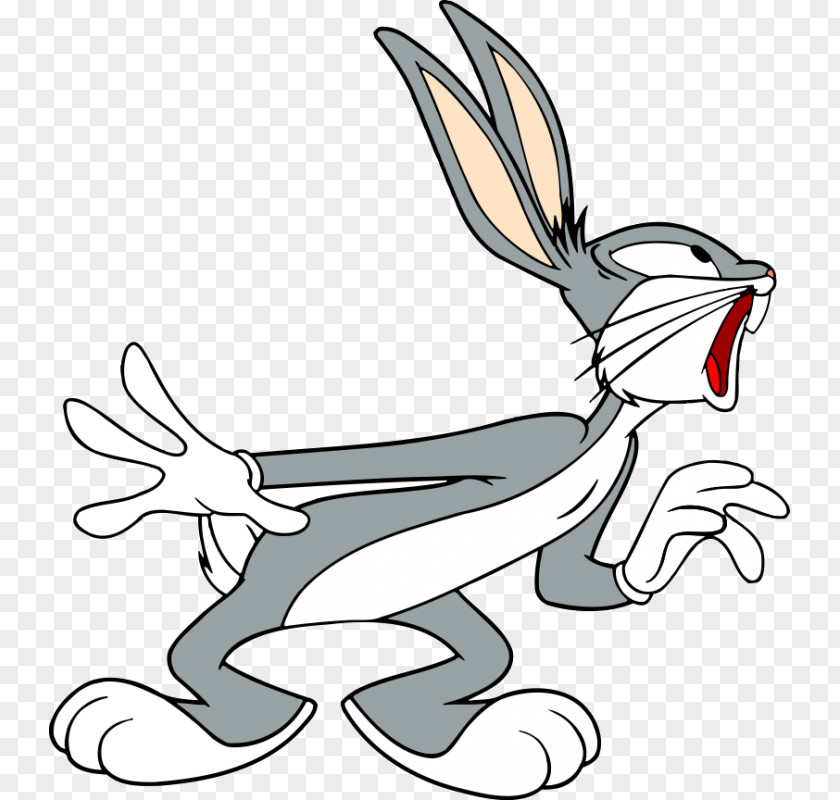 Bugs Bunny Elmer Fudd Looney Tunes Daffy Duck Clip Art PNG