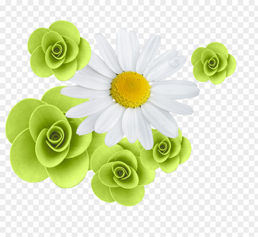 Camomile Contagem Flower Rose Clip Art PNG