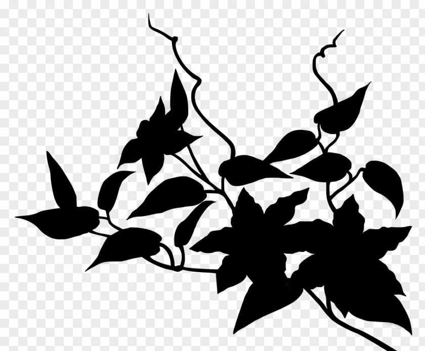 M Clip Art Leaf Pattern Plant Stem Black & White PNG
