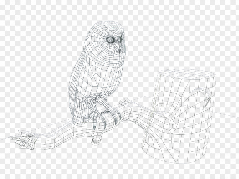 Owl Line Art Sketch PNG