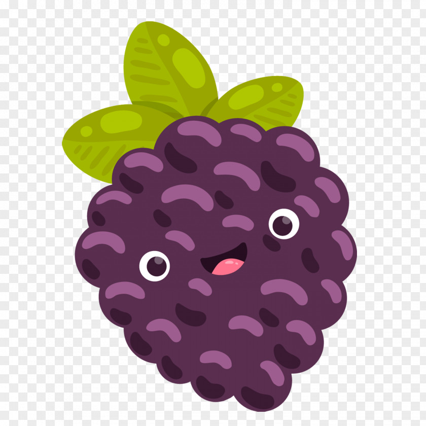 Purple Grapes Grape Image Fruit Berries PNG