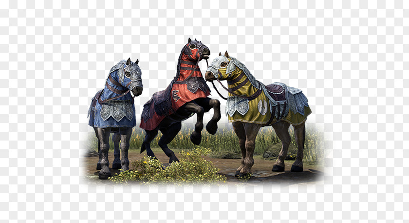 Warrior Horse The Elder Scrolls Online Stallion Tamriel Mustang Pony PNG