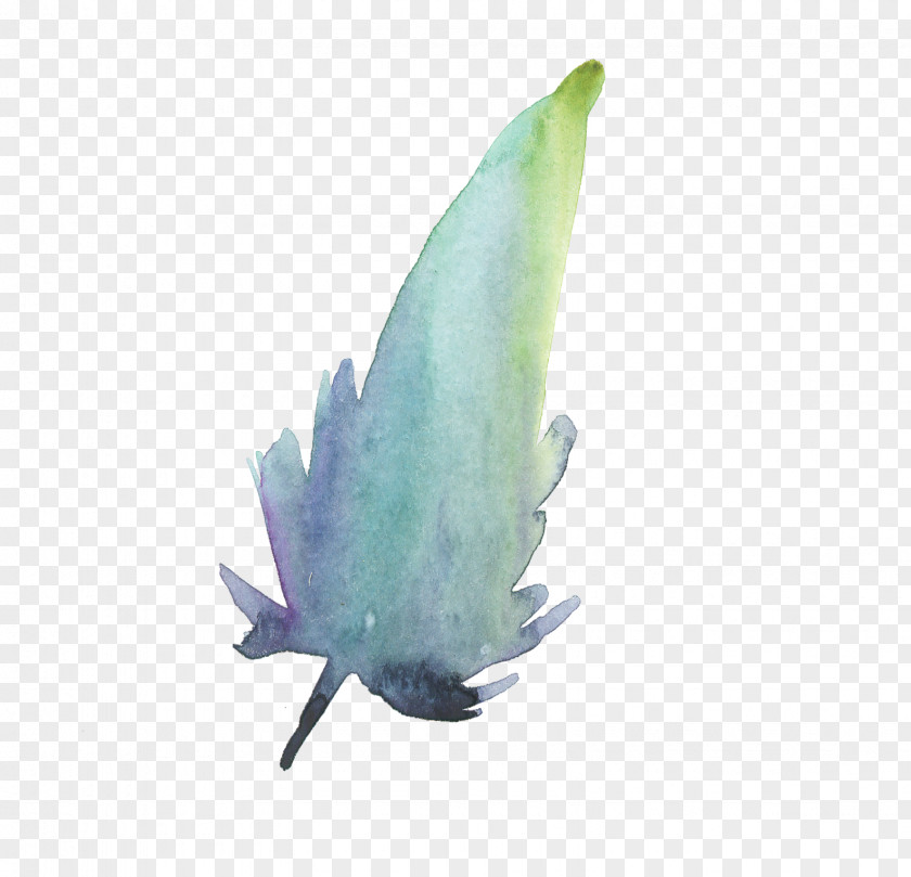 Watercolor Leaves Feather 02 Painting Flowers Leaf PNG