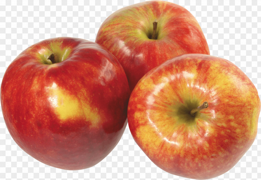 Apple Fruit Clip Art PNG