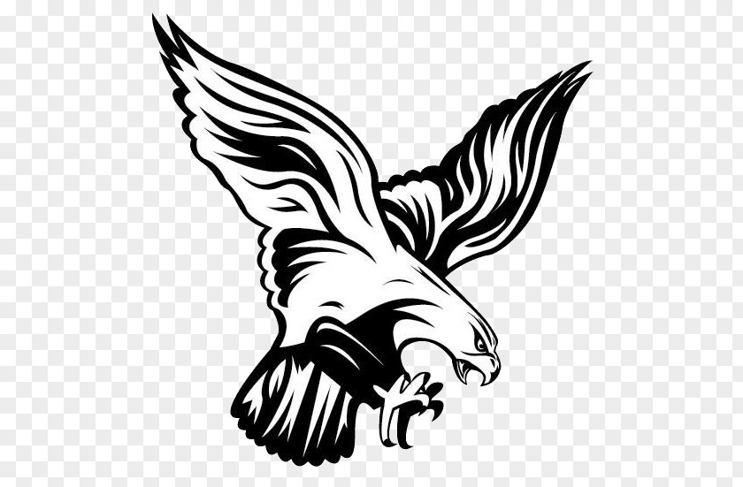 Atlanta Falcons Flambeau Junior High School Philadelphia Eagles Chippewa Falls PNG