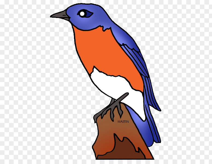 Nevada Idaho Missouri Mountain Bluebird Clip Art PNG